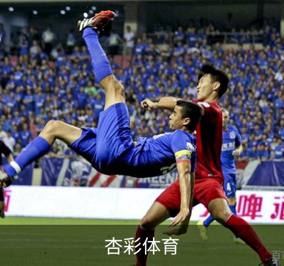 走进我们